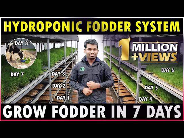 Hydroponic Fodder System | Easiest Method to Grow Hydroponic Fodder at Home | Green Fodder Farming