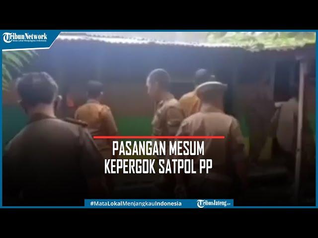 Viral Pasangan Mesum Setengah Baya Kepergok Satpol PP di Gubuk Bambu