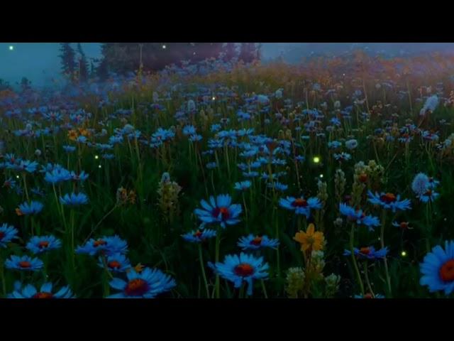 Denis Shtokolov - Euphoria ( YouTube Version )
