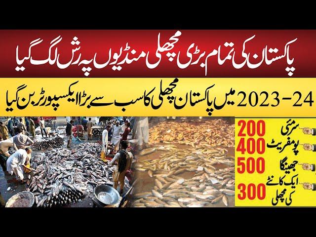 Fish Market in Pakistan || Pakistan largest exporter on fish in 2023-24