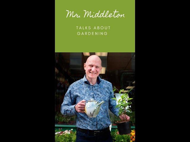 MR MIDDLETON TALKS ABOUT GARDENING | 003 | SPRINKLER SYSTEM