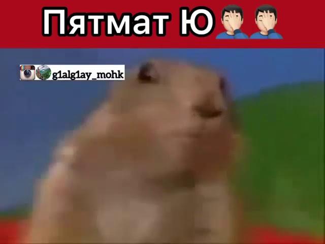 Трусливый чечено-казак Мансур: моё имя Пятимат