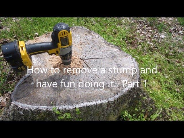 Easy Way to Remove Tree Stumps - Part 1