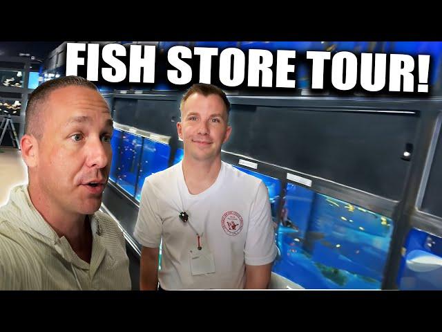 This fish store had EVERYTHING!!! Aquarium tour with the king of DIY