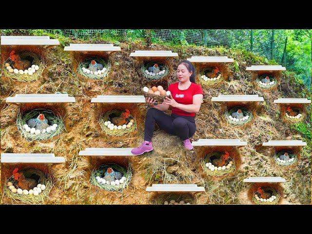 Building Chicken House With Cement With Many Stone, Transporting Stones By Truck - New Life