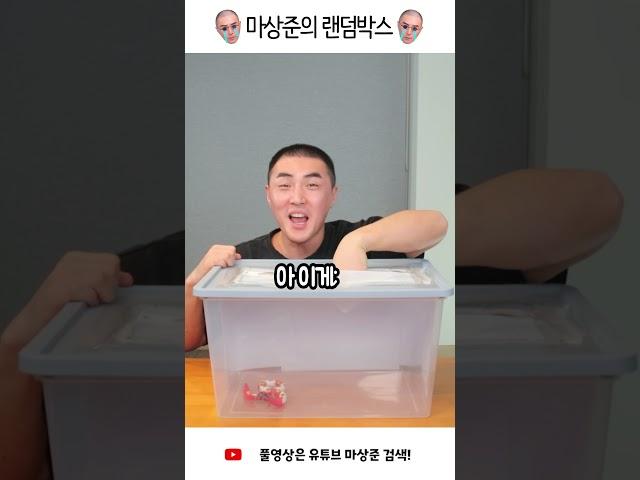 눈 가리고 뱀 만지기