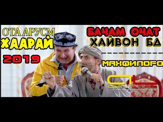 БАЧАМ ОЧАТ ХАЙВОН БД | БОБОИ МЕРГАН ------- ОТА АРУСМ ХААРАЙ 2019 |