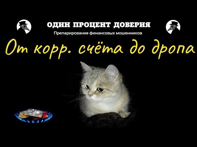 От корр. счёта до дропа