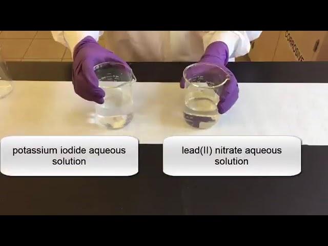 Precipitation Reactions and Solubility Rules