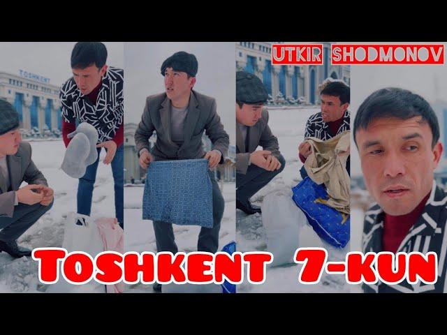 Toshkent  7-kun