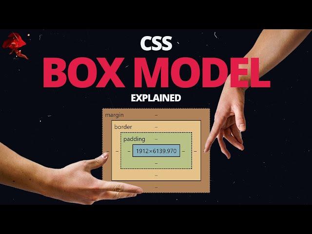 Learn CSS BOX MODEL - With Real World Examples