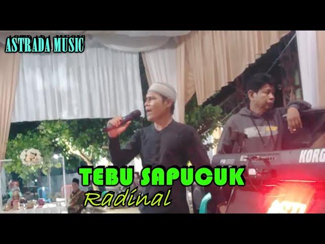 lagu jambi || viral gaya asli radinal keluar sewaktu jadi tuan rumah