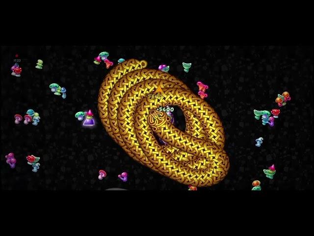 Worms Zone io Biggest Snake New Record 2024| Saamp Wala Game oggy jack saamp