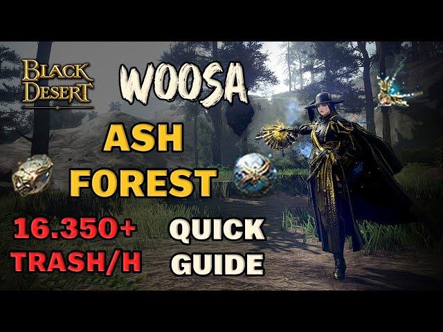 BDO | All Mechanics of Ash Forest Dehkia Lv.2 Guide & 1H Test | Woosa Succ | 16.350 Trash Per H