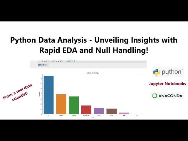 Python Data Analysis - Unveiling Insights with Rapid EDA and Null Handling