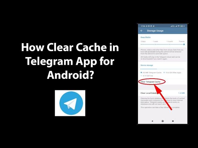 How Clear Cache in Telegram App for Android?