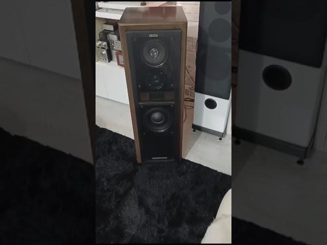 Акустика РМВ .Доводка звука под заказчика