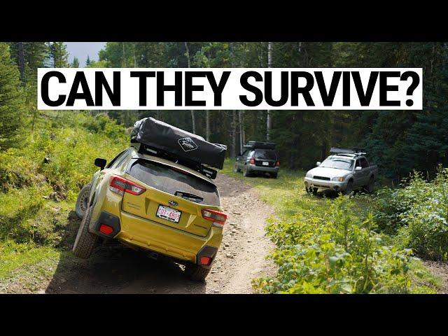 3 Offroad Subarus Take on the Trail...