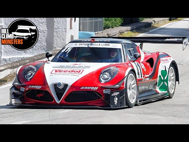 TOP 15 MONSTERS || Vallecamonica HillClimb 2024