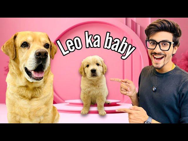 Leo Ka Baby | Papa Ban Gaya Leo | Anant Rastogi