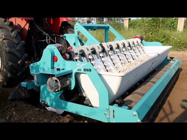 Garlic Seeder Garlic seeding machine three-point mounted garlic seeder DEB Machinery