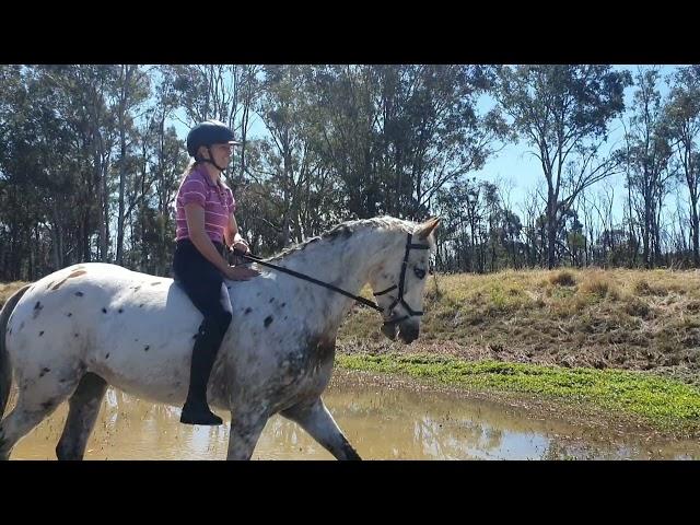 Bareback riding wild and free!