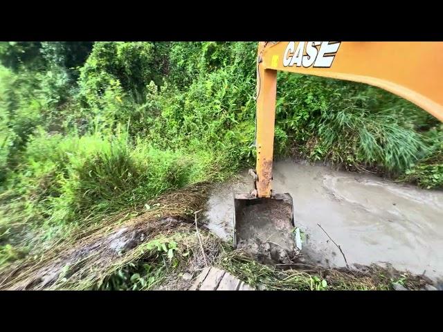 ATAQUE DE ABELHA  no Meio da Limpeza da Valeta! escavadeira hidráulica