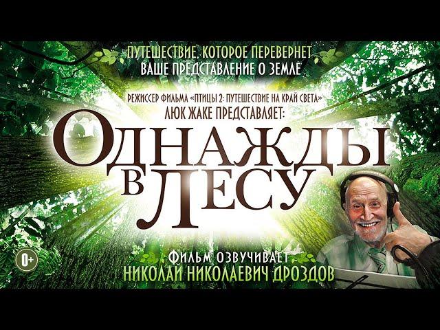 фильм Однажды в лесу / Сокровенные тайны живой природы HD