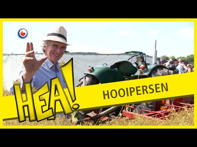 Record hooipersen | HEA!