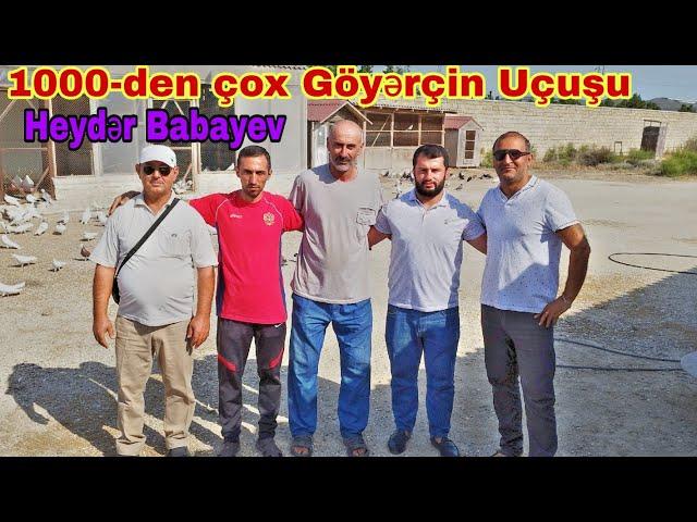 Heydər Babayev 1000-den Çox Göyərçin Uçurtdu 2ci Hisse