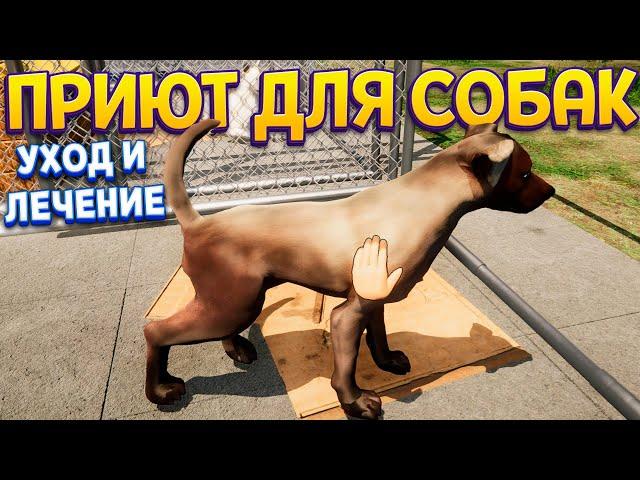 НАШ ПРИЮТ ДЛЯ СОБАК ( Animal Shelter )