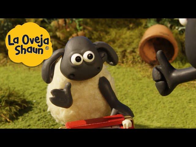 La Oveja Shaun  ¿Es hora de Timmy?  Dibujos animados para niños