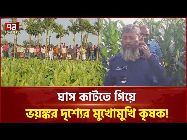 কল্পনাকে হার মানানো বী/ভ/ৎ/স দৃ/শ্য ভুট্টা ক্ষেতে! | News | Ekattor TV