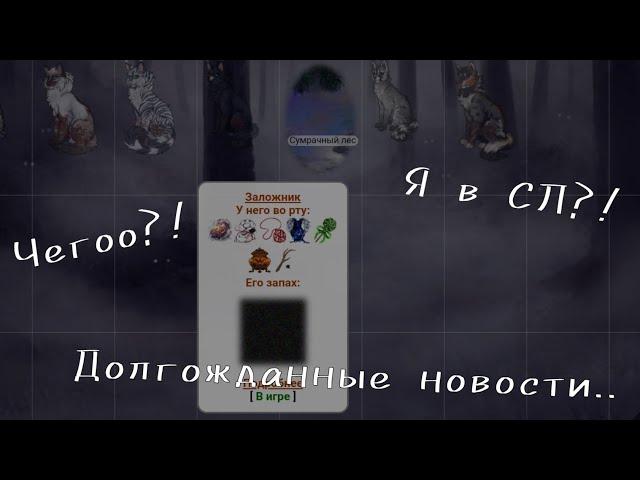 Я в СЛ?! || Новости || CatWar