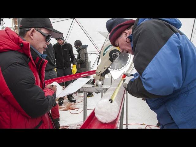 28 Novel viruses discovered in Tibetan glaciers