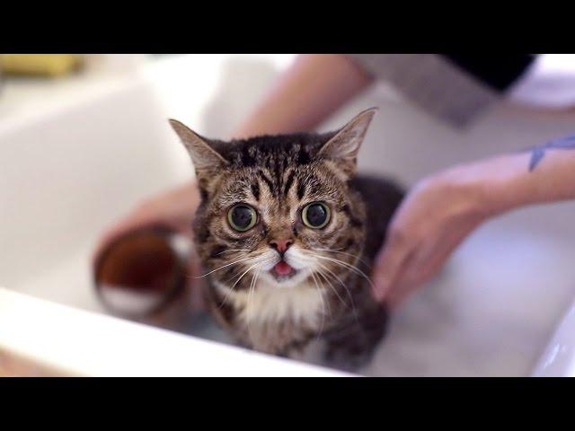 BUB BATHES AGAIN