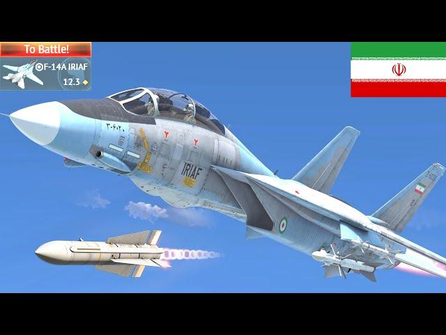 F-14A IRIAF Experience