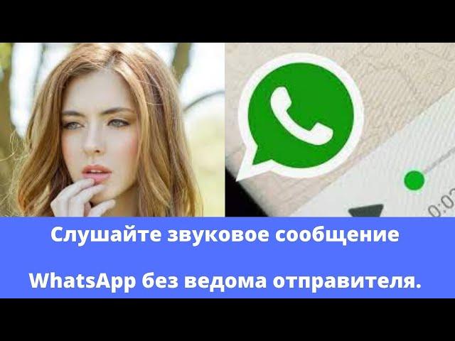 Слушайте аудио в WhatsApp без ведома отправителя