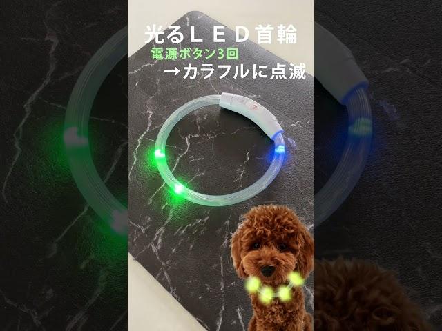 光る首輪 レインボー 夜間 発光首輪 軽量 犬 光る 首輪 充電式 LED首輪 カラフル 犬用 虹色 中型犬 小型犬 サイズ調整可 LEDライト ボタン押すだけカンタン発光 ペット用 散歩 発光