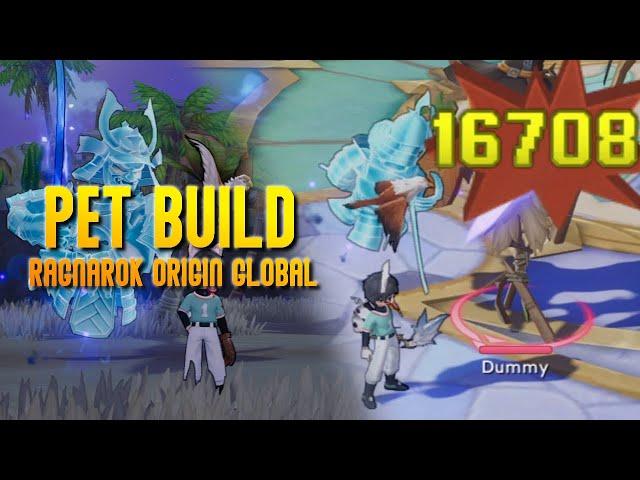 THE BEST PET BUILD GUIDE! | RAGNAROK ORIGIN GLOBAL