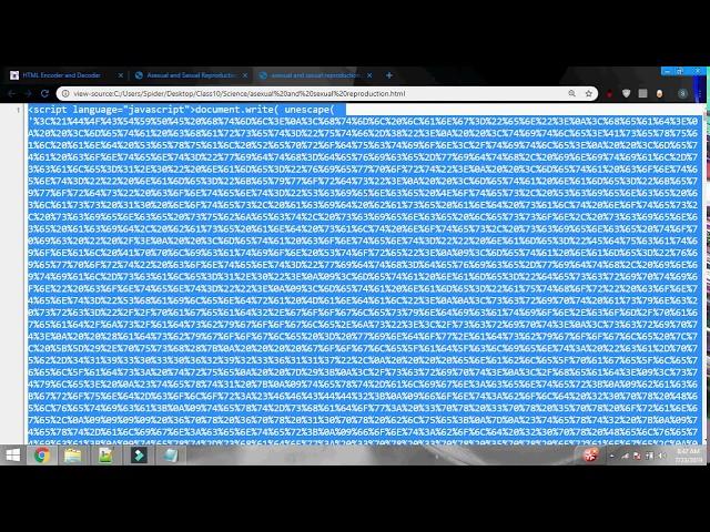 How to encrypt and Decrypt html code