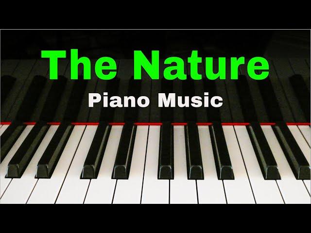 Piano Relaxing & Meditation Music - The Natur