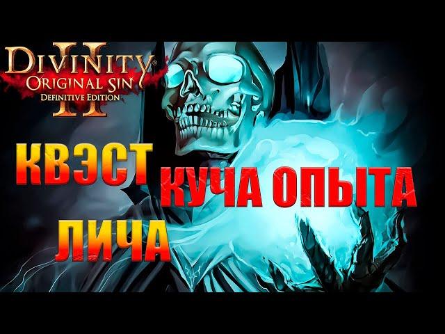 Divinity 2 ВЕСЬ СЕКРЕТНЫЙ ОПЫТ ЗА КВЕСТ / ВКУС СВОБОДЫ МАКСИМУМ ОПЫТА Divinity Original Sin 2 ГАЙД