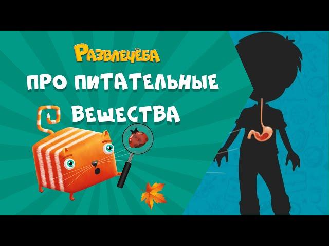 Развлечёба. Окружающий мир. Про питательные вещества