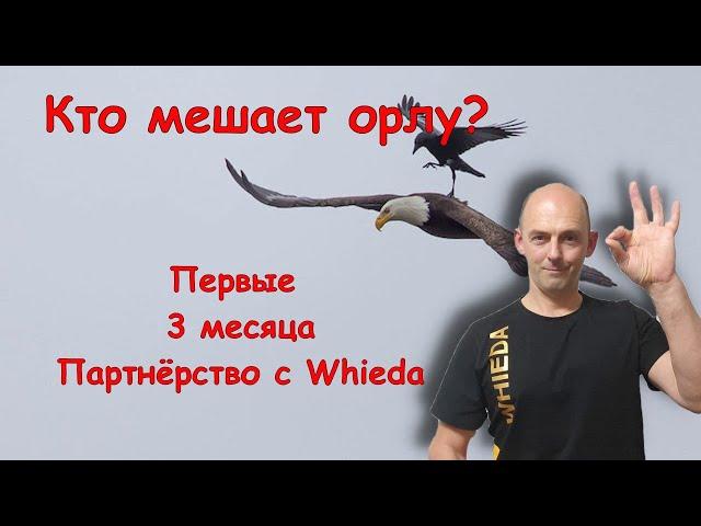 Whieda – 3 месяца в бизнесе. Ушел из Fohow и НЕ пожалел.