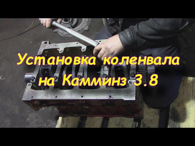 Установка коленвала Камминз Cummins 3.8 | Затяжка нижников Камминз Cummins 3.8 |Ремонт двигателя