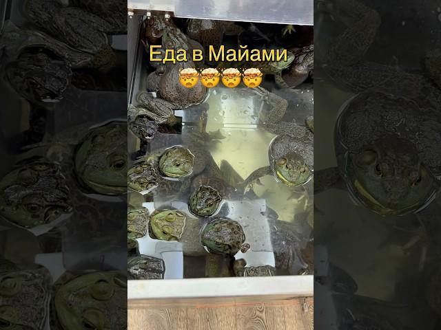 Еда в Майами #майами #сша #едавсша #жизньвсша #экзотика #sunnyislesbeach