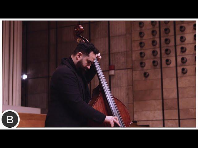 BEAUTIFUL DOUBLE BASS SOUND !!