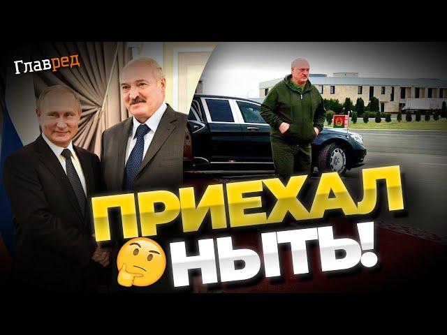 Усатый таракан приехал к Путину жаловаться на вагнеровцев. Почему Лукашенко стал ИПСО Кремля