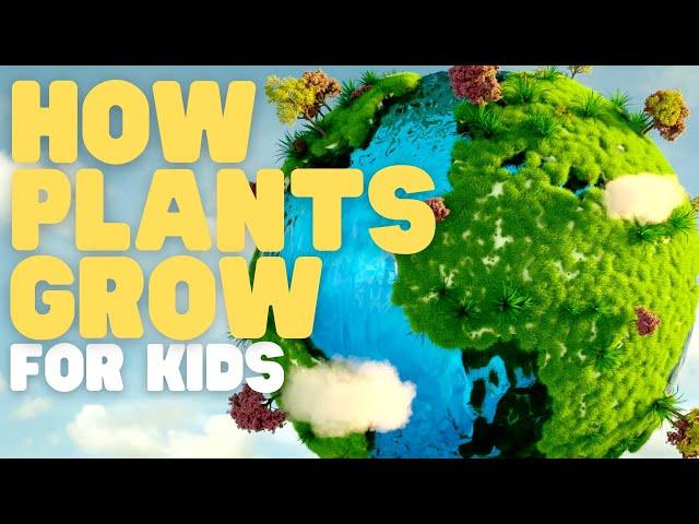 How Plants Grow for Kids | Learn about photosynthesis and what plants need to grow strong